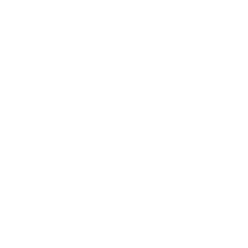 Michelle Feit and Dustin Narde's Wedding Website - The Knot