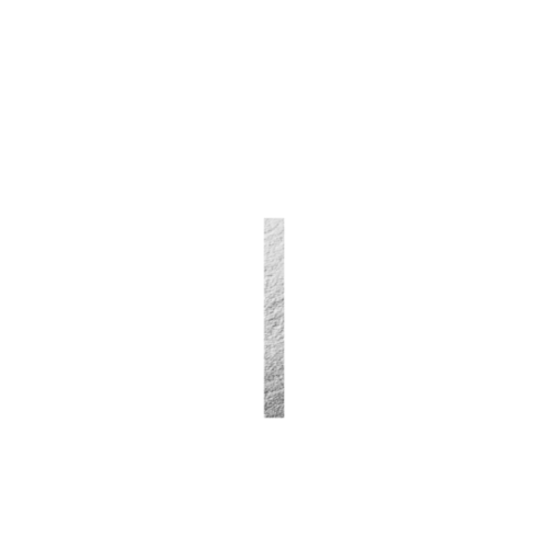 Serdar & Elena
