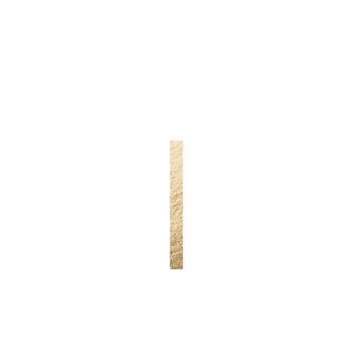 Gracie & Evan