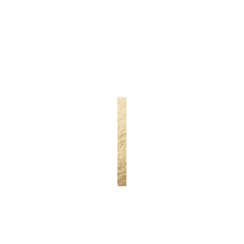LaTorya & Jason