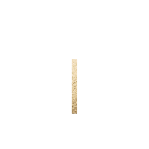 Anna & Joel
