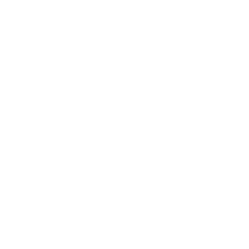 Precious  & Joel