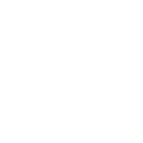 Lauren & Michael