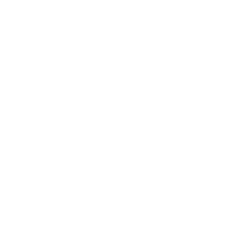 Joshua & Michela