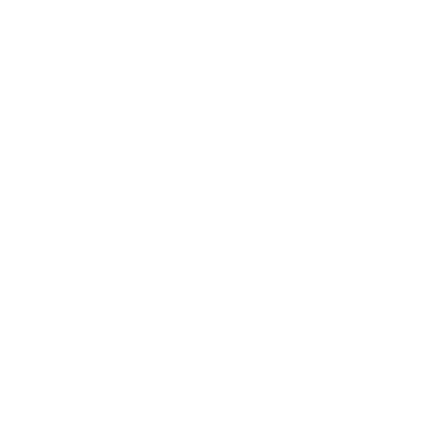 Julia & Zach