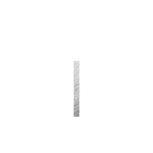 Leen & zachariah